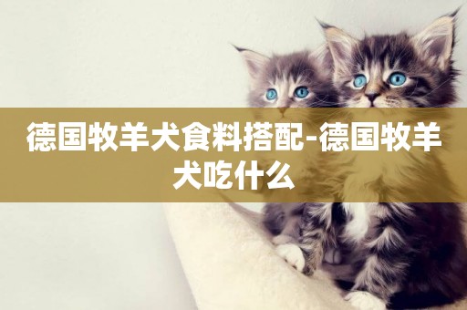 德國牧羊犬食料搭配-德國牧羊犬吃什么