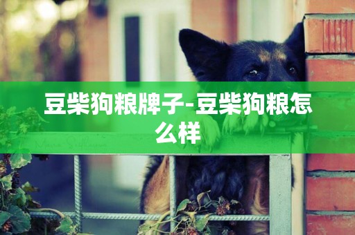 豆柴狗糧牌子-豆柴狗糧怎么樣