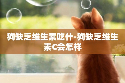 狗缺乏維生素吃什-狗缺乏維生素C會怎樣