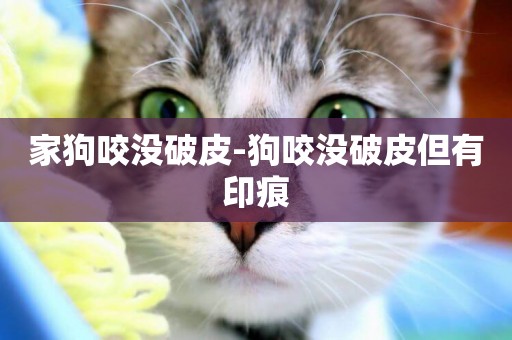 家狗咬沒破皮-狗咬沒破皮但有印痕