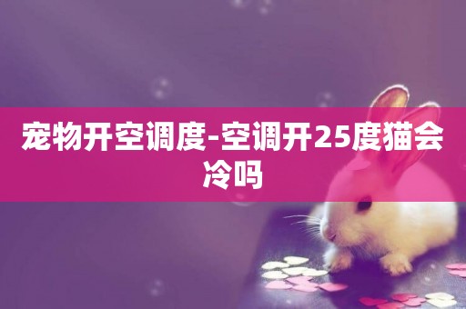 寵物開空調度-空調開25度貓會冷嗎
