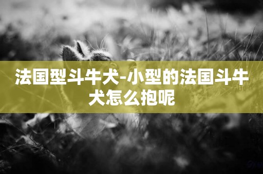 法國型斗牛犬-小型的法國斗牛犬怎么抱呢
