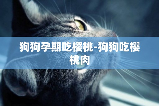 狗狗孕期吃櫻桃-狗狗吃櫻桃肉