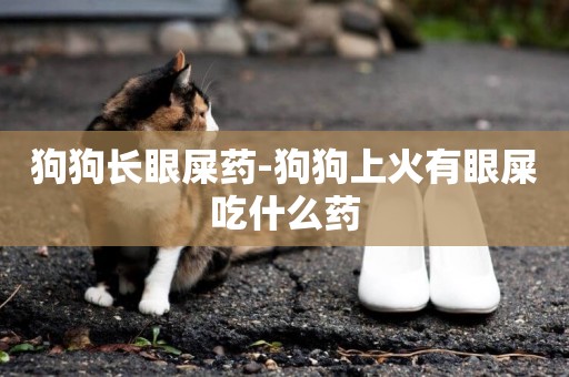 狗狗長眼屎藥-狗狗上火有眼屎吃什么藥
