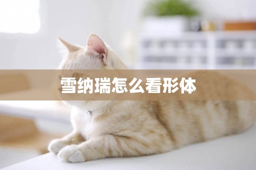 雪納瑞怎么看形體