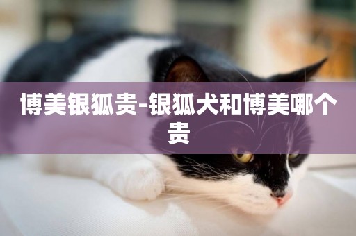 博美銀狐貴-銀狐犬和博美哪個貴
