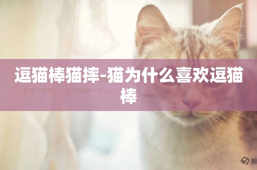 逗貓棒貓摔-貓為什么喜歡逗貓棒