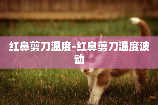 紅鼻剪刀溫度-紅鼻剪刀溫度波動
