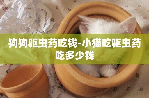 狗狗驅蟲藥吃錢-小貓吃驅蟲藥吃多少錢