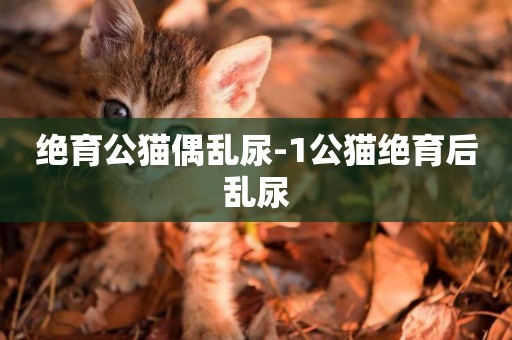 絕育公貓偶亂尿-1公貓絕育后亂尿
