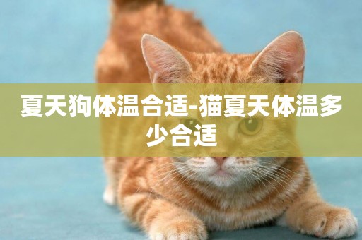 夏天狗體溫合適-貓夏天體溫多少合適