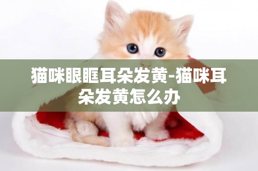 貓咪眼眶耳朵發黃-貓咪耳朵發黃怎么辦