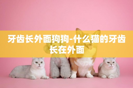 牙齒長外面狗狗-什么貓的牙齒長在外面