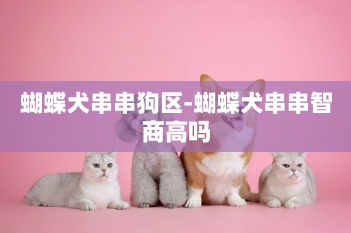 蝴蝶犬串串狗區-蝴蝶犬串串智商高嗎