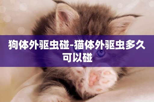 狗體外驅蟲碰-貓體外驅蟲多久可以碰