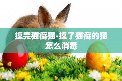 摸完貓癬貓-摸了貓癬的貓怎么消毒