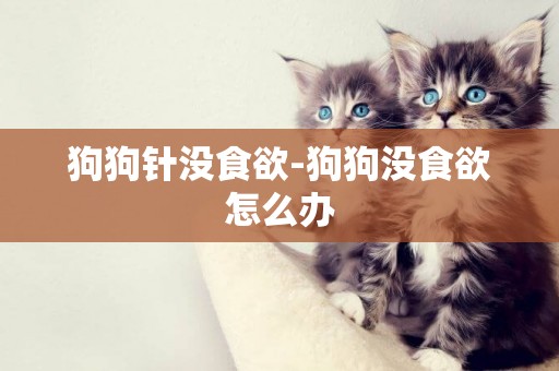 狗狗針沒食欲-狗狗沒食欲怎么辦