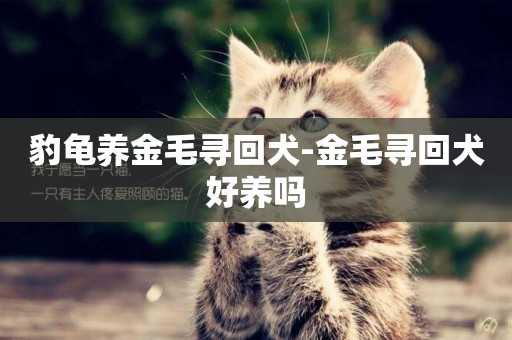 豹龜養金毛尋回犬-金毛尋回犬好養嗎