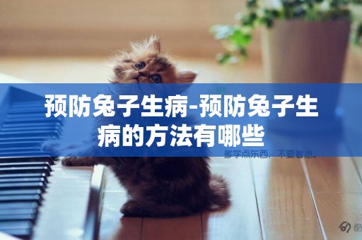 預防兔子生病-預防兔子生病的方法有哪些