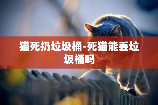 貓死扔垃圾桶-死貓能丟垃圾桶嗎