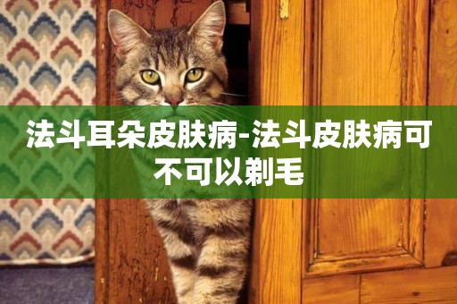 法斗耳朵皮膚病-法斗皮膚病可不可以剃毛