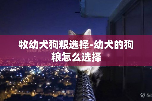 牧幼犬狗糧選擇-幼犬的狗糧怎么選擇