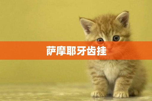 薩摩耶牙齒掛