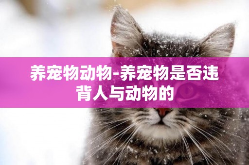 養寵物動物-養寵物是否違背人與動物的