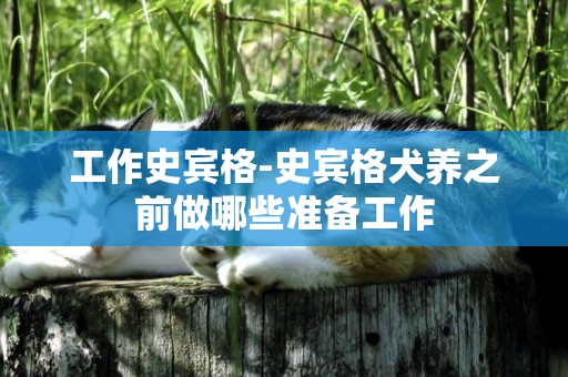 工作史賓格-史賓格犬養之前做哪些準備工作