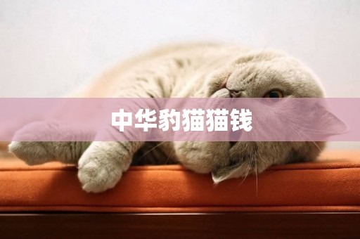 中華豹貓貓錢