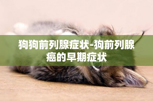 狗狗前列腺癥狀-狗前列腺癌的早期癥狀