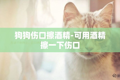 狗狗傷口擦酒精-可用酒精擦一下傷口