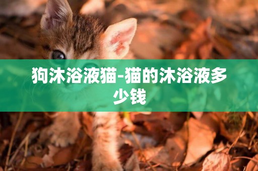 狗沐浴液貓-貓的沐浴液多少錢