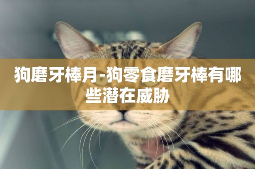 狗磨牙棒月-狗零食磨牙棒有哪些潛在威脅