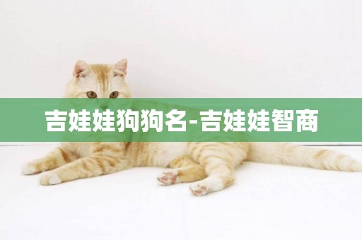 吉娃娃狗狗名-吉娃娃智商