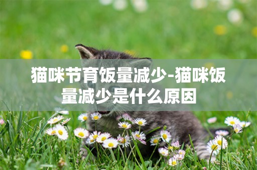 貓咪節育飯量減少-貓咪飯量減少是什么原因
