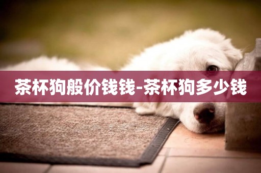 茶杯狗般價錢錢-茶杯狗多少錢