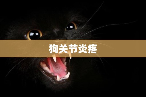 狗關節炎疼