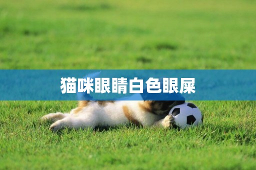 貓咪眼睛白色眼屎