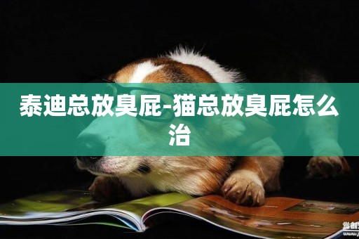 泰迪總放臭屁-貓總放臭屁怎么治