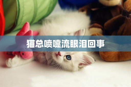 貓總噴嚏流眼淚回事