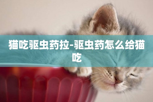 貓吃驅蟲藥拉-驅蟲藥怎么給貓吃