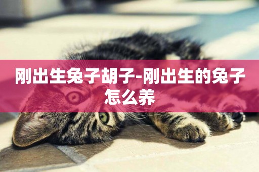 剛出生兔子胡子-剛出生的兔子怎么養