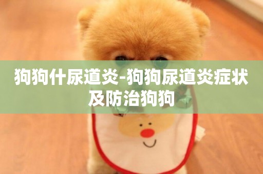 狗狗什尿道炎-狗狗尿道炎癥狀及防治狗狗