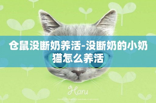 倉鼠沒斷奶養活-沒斷奶的小奶貓怎么養活