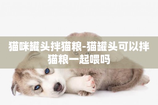 貓咪罐頭拌貓糧-貓罐頭可以拌貓糧一起喂嗎
