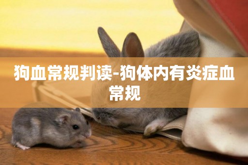 狗血常規判讀-狗體內有炎癥血常規