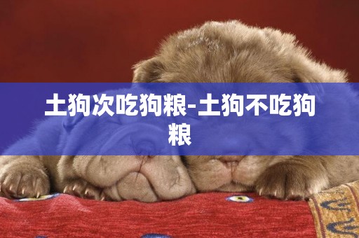 土狗次吃狗糧-土狗不吃狗糧
