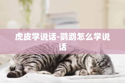 虎皮學說話-鸚鵡怎么學說話