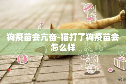 狗疫苗會亢奮-貓打了狗疫苗會怎么樣
